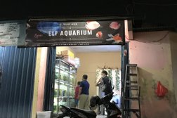 Elf Aquarium